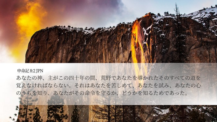 申命記 8:2 JPN Bible Verse Image