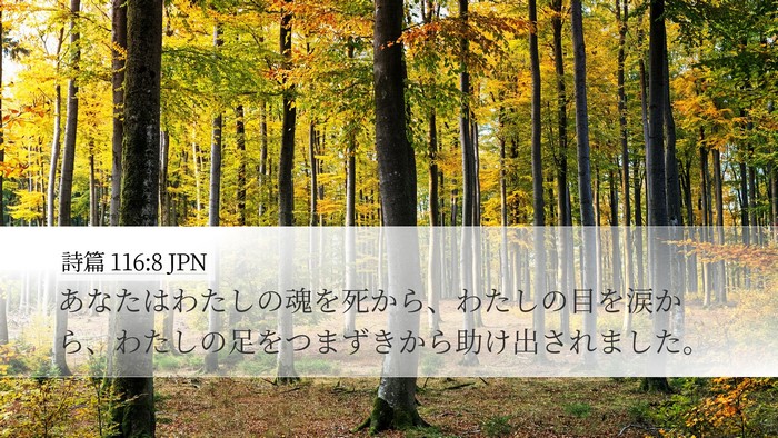 詩篇 116:8 JPN Desktop Wallpaper - あなたはわたしの魂を死から、わた - Desktop Bible Verse Wallpaper