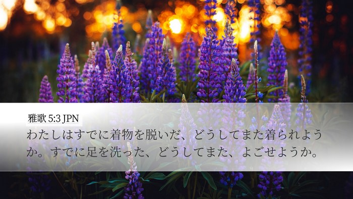 雅歌 5:3 JPN Desktop Wallpaper - わたしはすでに着物を脱いだ、どう - Desktop Bible Verse Wallpaper
