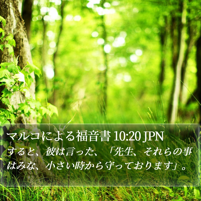 マルコによる福音書 10:20 JPN - すると、彼は言った、「先生、それ