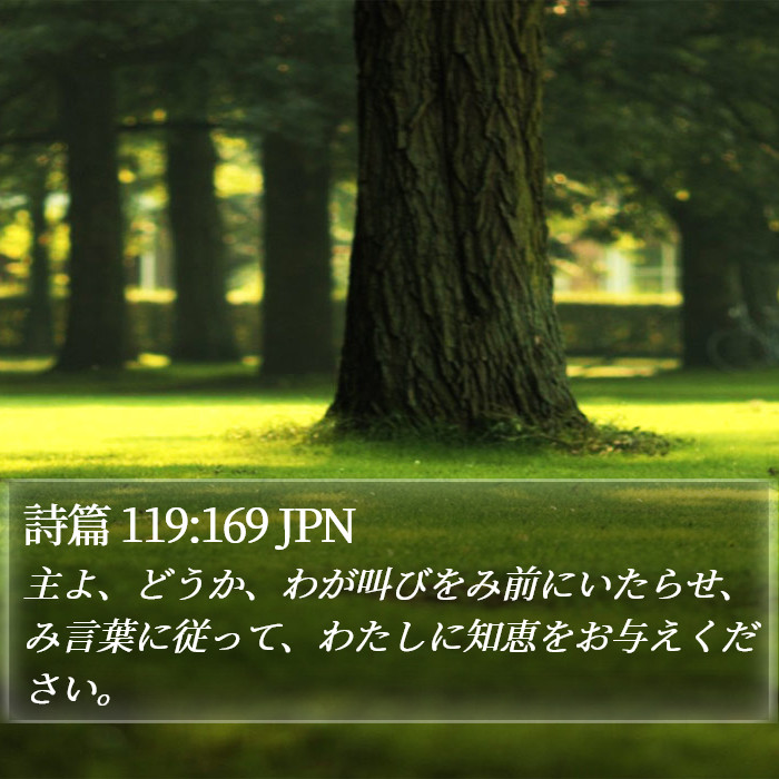詩篇 119:169 JPN - 主よ、どうか、わが叫びをみ前にい