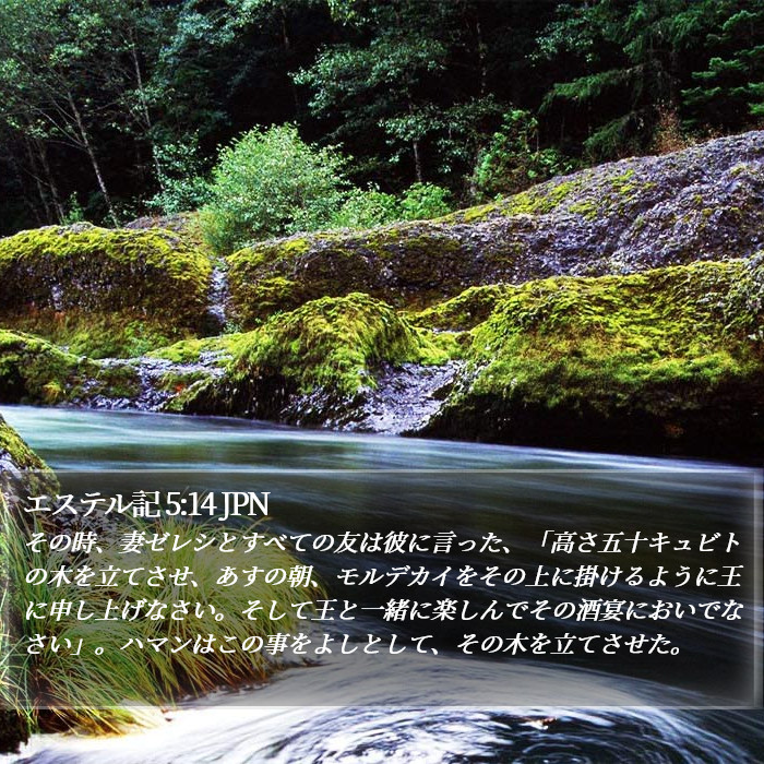 エステル記 5:14 JPN - その時、妻ゼレシとすべての友は彼ã� - Bible Verse Picture
