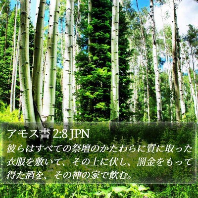アモス書 2:8 JPN Bible Verse Image