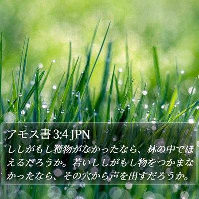 アモス書 3:4 JPN Bible Verse Image