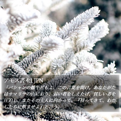 アモス書 4:1 JPN Bible Verse Image