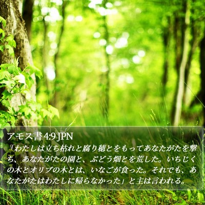 アモス書 4:9 JPN Bible Verse Image