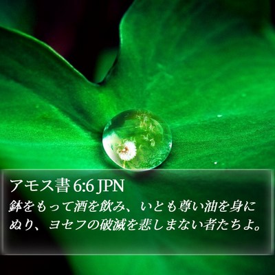 アモス書 6:6 JPN Bible Verse Image