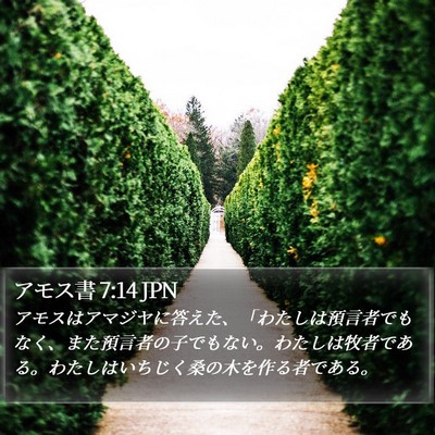 アモス書 7:14 JPN Bible Verse Image