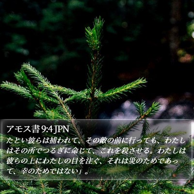 アモス書 9:4 JPN Bible Verse Image