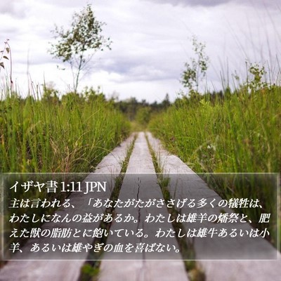 イザヤ書 1:11 JPN Bible Verse Image