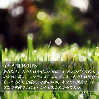 イザヤ書 16:9 JPN Bible Verse Image