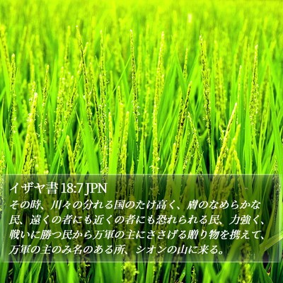 イザヤ書 18:7 JPN Bible Verse Image