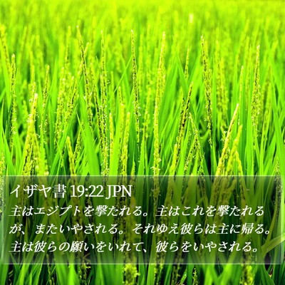 イザヤ書 19:22 JPN Bible Verse Image