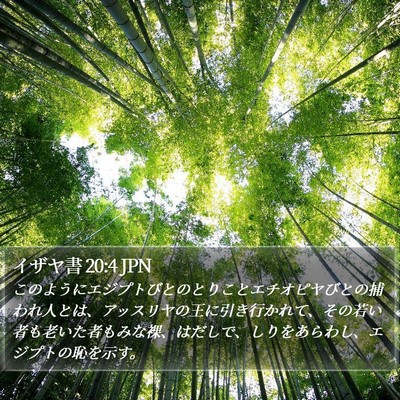 イザヤ書 20:4 JPN Bible Verse Image