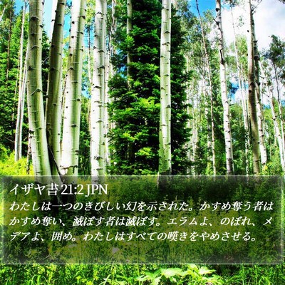 イザヤ書 21:2 JPN Bible Verse Image