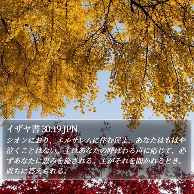 イザヤ書 30:19 JPN Bible Verse Image