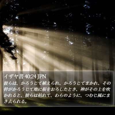 イザヤ書 40:24 JPN Bible Verse Image