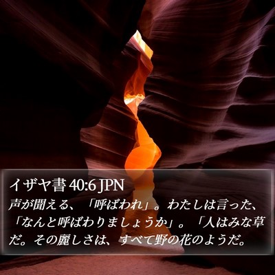 イザヤ書 40:6 JPN Bible Verse Image