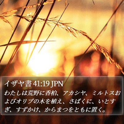 イザヤ書 41:19 JPN Bible Verse Image