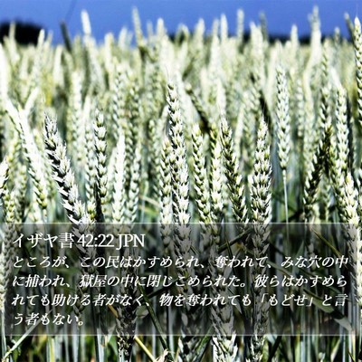 イザヤ書 42:22 JPN Bible Verse Image