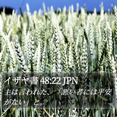 イザヤ書 48:22 JPN Bible Verse Image