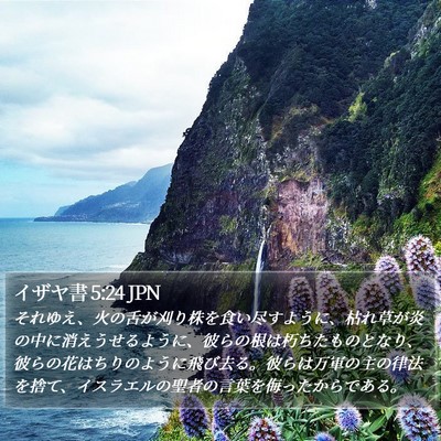 イザヤ書 5:24 JPN Bible Verse Image