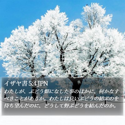 イザヤ書 5:4 JPN Bible Verse Image