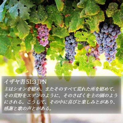 イザヤ書 51:3 JPN Bible Verse Image