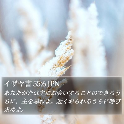 イザヤ書 55:6 JPN Bible Verse Image