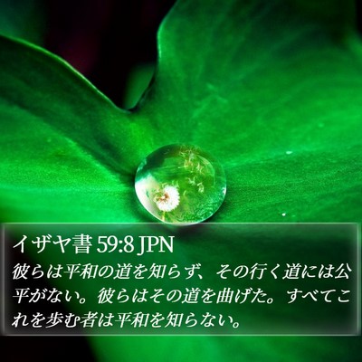 イザヤ書 59:8 JPN Bible Verse Image