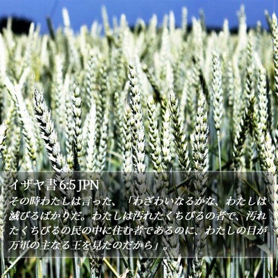 イザヤ書 6:5 JPN Bible Verse Image