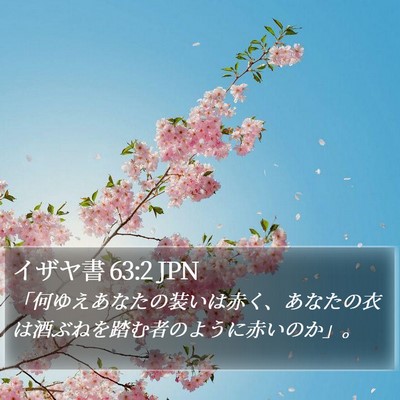 イザヤ書 63:2 JPN Bible Verse Image