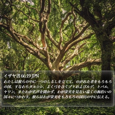イザヤ書 66:19 JPN Bible Verse Image