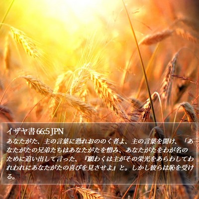 イザヤ書 66:5 JPN Bible Verse Image