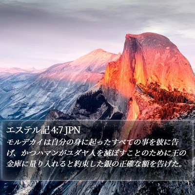 エステル記 4:7 JPN Bible Verse Image