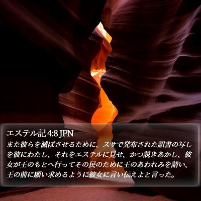 エステル記 4:8 JPN Bible Verse Image