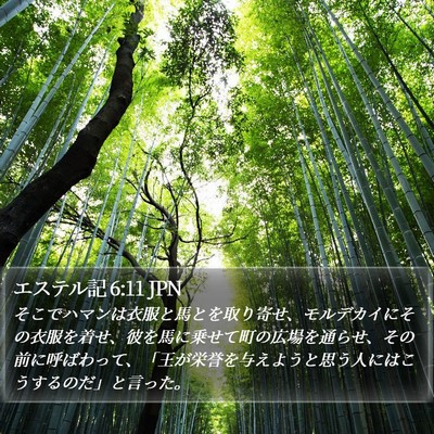 エステル記 6:11 JPN Bible Verse Image