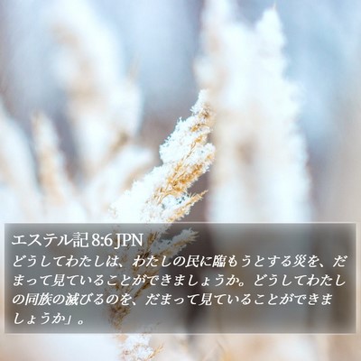エステル記 8:6 JPN Bible Verse Image