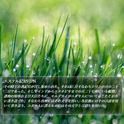 エステル記 8:9 JPN Bible Verse Image