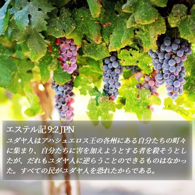 エステル記 9:2 JPN Bible Verse Image