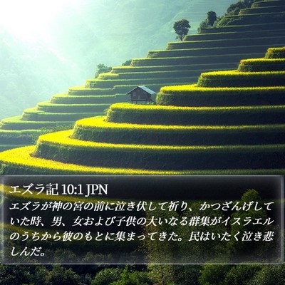 エズラ記 10:1 JPN Bible Verse Image