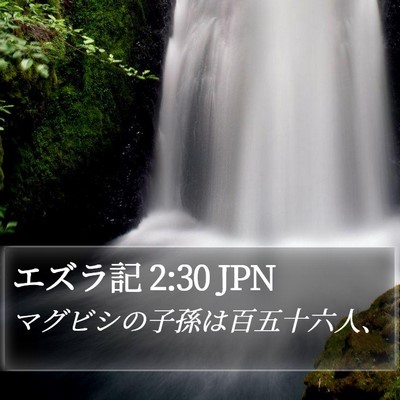 エズラ記 2:30 JPN Bible Verse Image