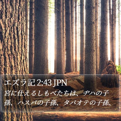 エズラ記 2:43 JPN Bible Verse Image
