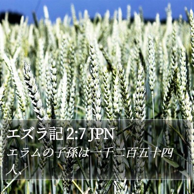 エズラ記 2:7 JPN Bible Verse Image