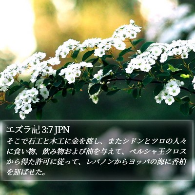 エズラ記 3:7 JPN Bible Verse Image