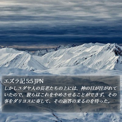 エズラ記 5:5 JPN Bible Verse Image