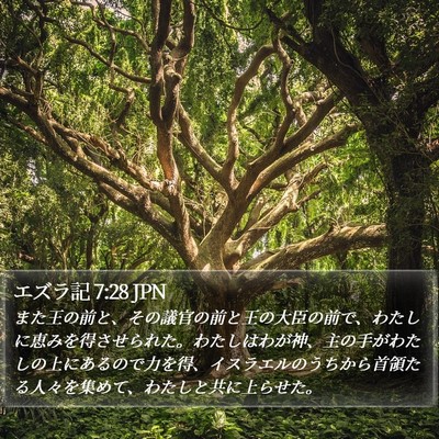 エズラ記 7:28 JPN Bible Verse Image