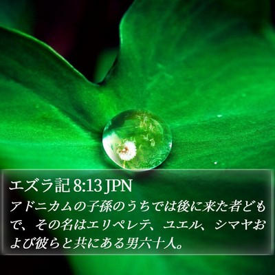 エズラ記 8:13 JPN Bible Verse Image
