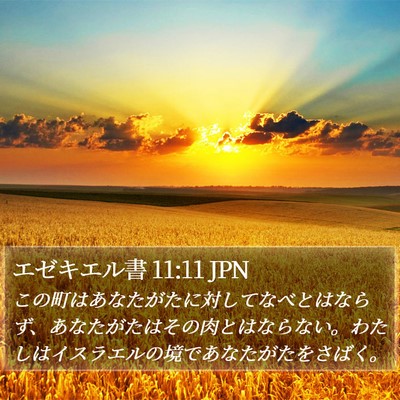 エゼキエル書 11:11 JPN Bible Verse Image