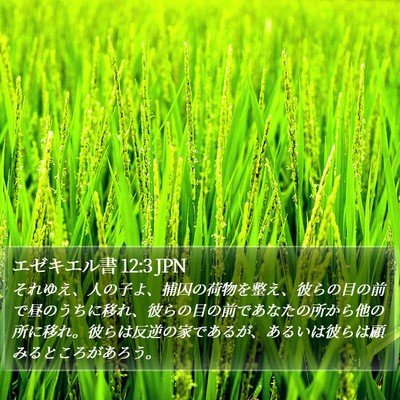 エゼキエル書 12:3 JPN Bible Verse Image
